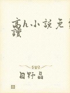 高h小说免费阅读