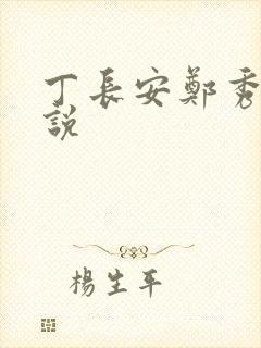 丁长安郑秀兰小说