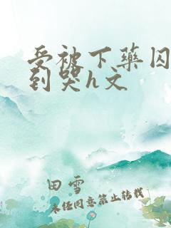 受被下药囚禁脔到哭h文