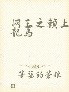 网王之赖上越前龙马