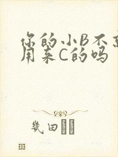 你的小B不就是用来C的吗