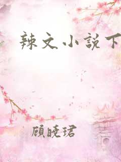 辣文小说下载