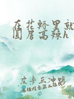 在花轿里就开始圆房高辣h