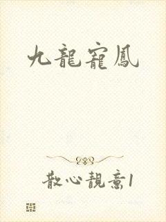 九龙宠凤