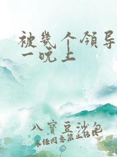 被几个领导玩弄一晚上