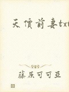 天价前妻txt