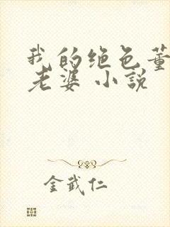 我的绝色董事长老婆 小说