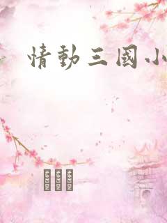 情动三国小说