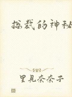 总裁的神秘情人