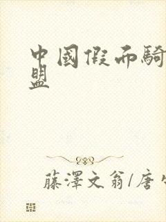 中国假面骑士联盟