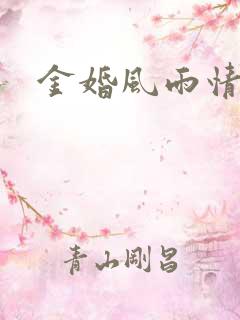 金婚风雨情下载