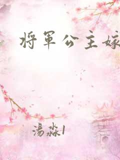 将军公主嫁到