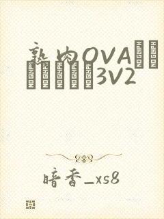 熟肉OVAちゃんはしたい3V2