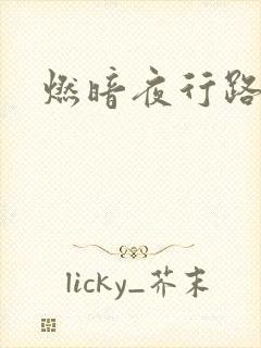 燃暗夜行路