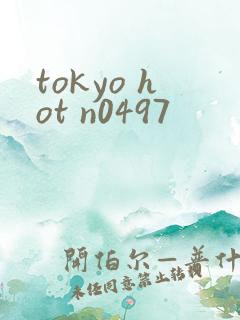 tokyo hot n0497