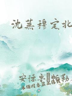 沈芜穆定北小说