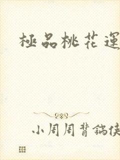 极品桃花运下载