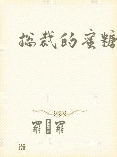 总裁的蜜糖宝贝