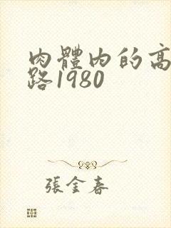 肉体内的高速公路1980