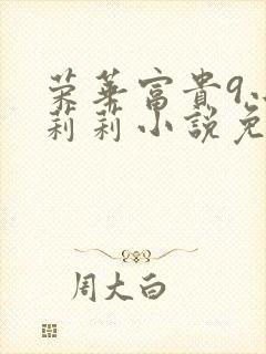 荣华富贵9小王莉莉小说免费阅读