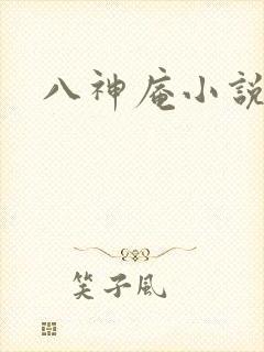 八神庵小说下载