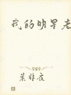 我的明星老豆