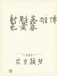 射雕英雄传之肉色黄蓉