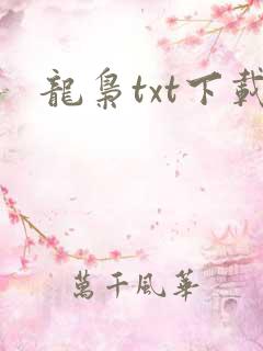 龙枭txt下载