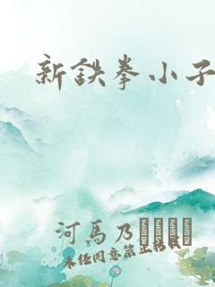 新铁拳小子