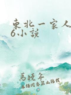 东北一家人1一6小说