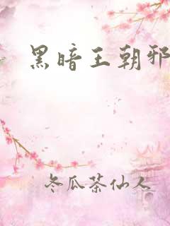 黑暗王朝邪恶版