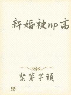 新婚被np高h