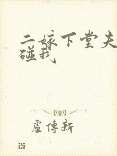 二嫁下堂夫君别碰我