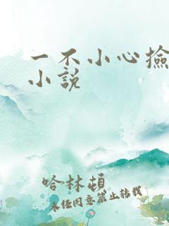 一不小心捡到爱小说