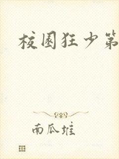 校园狂少第二部