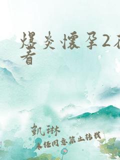 爆炎怀孕2在线看