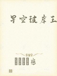 星空彼岸王轩