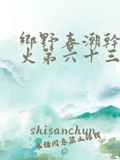 乡野春潮干柴烈火第六十三章