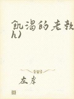 饥渴的老教授(h)