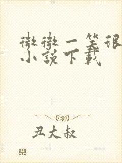 微微一笑很倾城小说下载