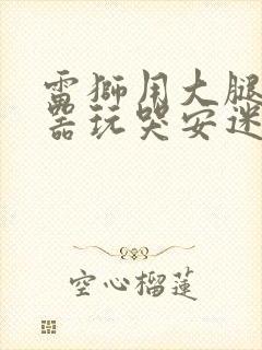 雷狮用大腿支撑器玩哭安迷修