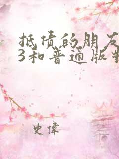 抵债的朋友麦子3和普通版对比