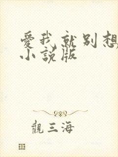 爱我就别想太多小说版