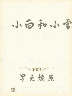 小白和小雪
