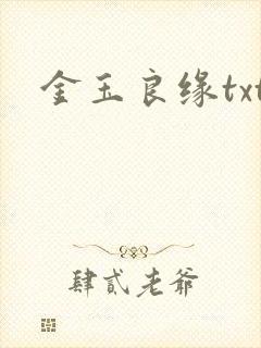 金玉良缘txt