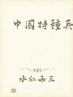 中国特种兵小说