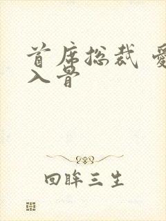 首席总裁 爱你入骨