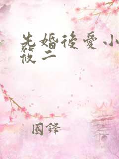 先婚后爱小说梦筱二