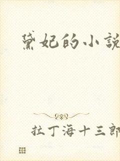 黛妃的小说全文