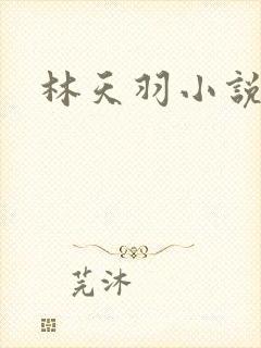 林天羽小说